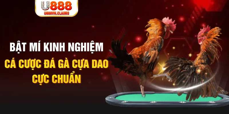 iwin club casino hồ tràm có cho người việt vào không