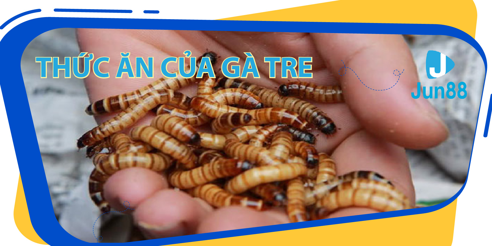 iwin club da ga 67