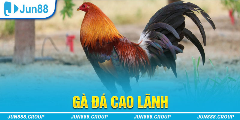 iwin club tai game vua bai ve may tinh