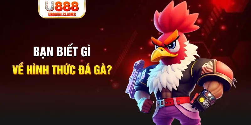 iwin club đăng nhập liêng tặng tiền