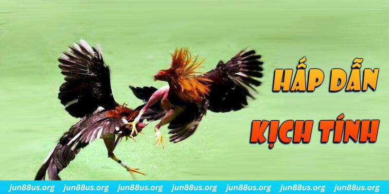 iwin club xổ số miền nam thứ sáu