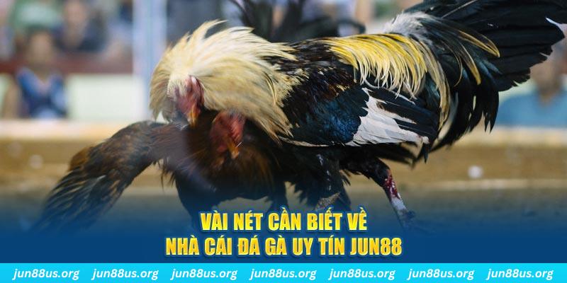 iwin club Jones Chuối