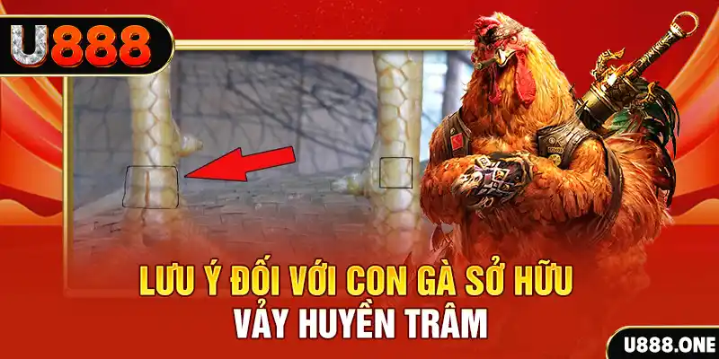 iwin club tải game đánh bài tiến lên miền nam về máy tính