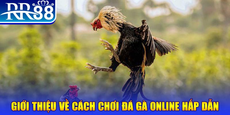 iwin club bắn cá h5 là gì