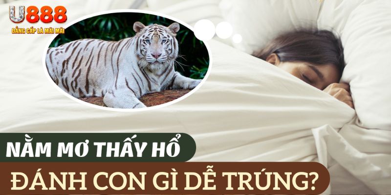 iwin club nohu .mx nổ hủ là gì