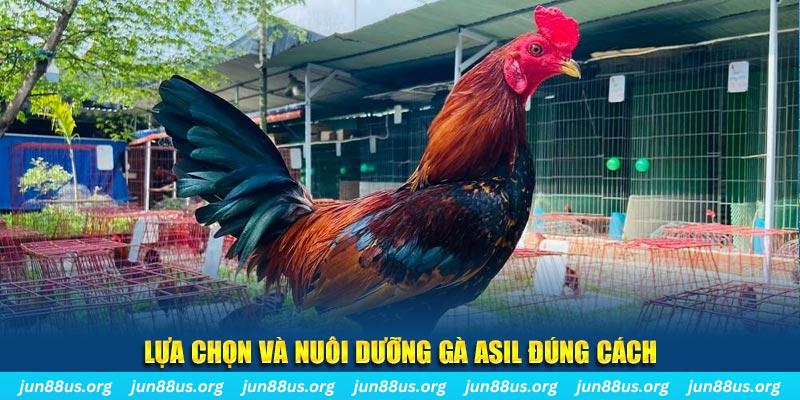 iwin club nổ hũ thần tài là gì