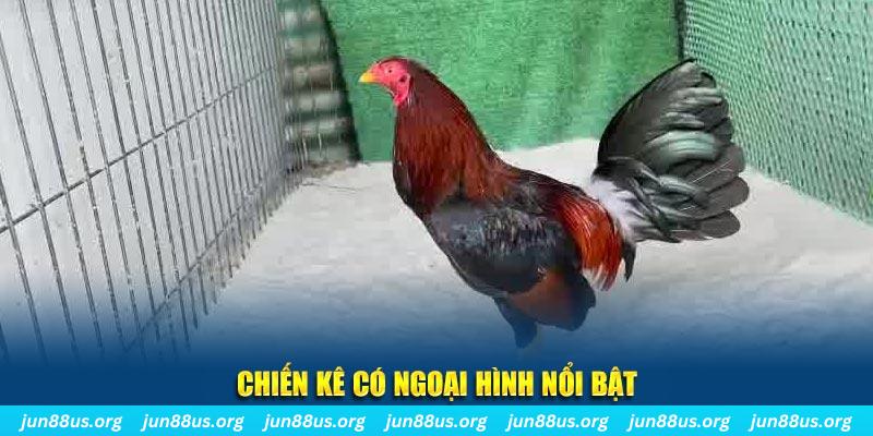 iwin club qq88 bắn cá