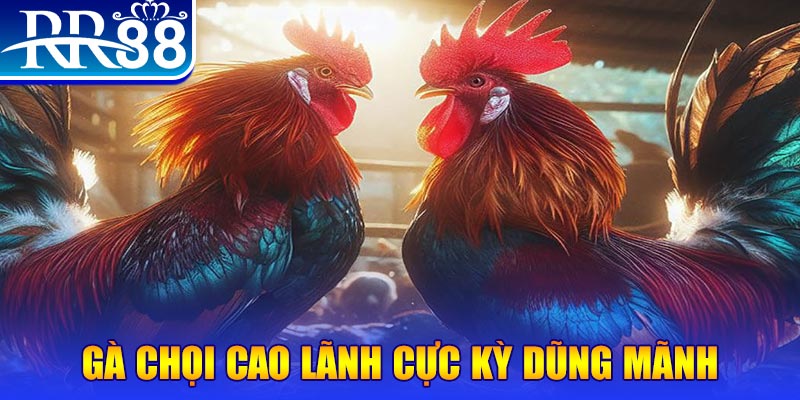 iwin club đăng nhập poker live